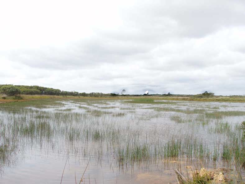 Aus der einsamen Goonhilly-Ebene auf Lizard ist noch mehr Kommunikations- und Technologiegeschichtliches anzutreffen. In der Goonhilly Satellite Earth Station wachsen riesige Satellitenschüsseln aus dem Moor. Hier wurden 1961 die ersten Satelliten-TV-Signale empfangen. Dem Genius Loci gemäss heissen die beiden grössten Antennen "Arthur" und "Merlin"