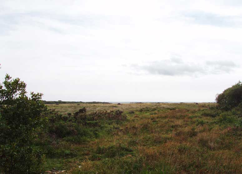 Die urtümliche Heidelandschaft von Goonhilly Downs auf Lizard